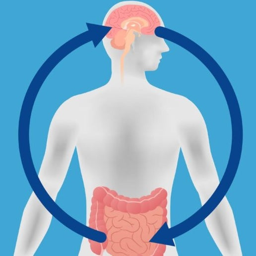 What is the Brain-Gut Microbiome System?